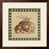 Buy Rabbits at AllPosters.com