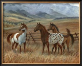 Appaloosa II