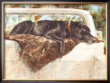 Pushed to the Limit (Black Lab)