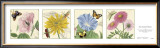 Buy Four Summer Flowers at AllPosters.com
