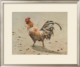 Buy Banty Rooster at AllPosters.com