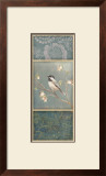 Black Capped Chickadee