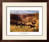 Buy Canyon Mustangs at AllPosters.com