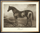 Buy Hermit at AllPosters.com