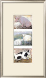 Buy Animalities at AllPosters.com
