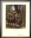 Buy Wild Boar at AllPosters.com