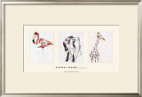 Buy Animal Magic at AllPosters.com