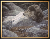 Buy Rocky Realm at AllPosters.com