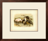 Buy Egret and Heron at AllPosters.com