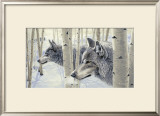 Buy Among the Aspens at AllPosters.com