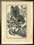 Crackled Butterfly IV