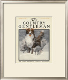 Herding Sheep, c.1916