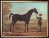 Racehorse Othello