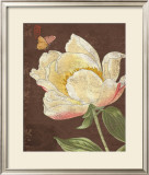 Garden Peony II