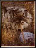 Buy One to One at AllPosters.com