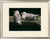 Buy Gulls Resting at AllPosters.com