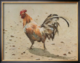 Buy Banty Rooster at AllPosters.com