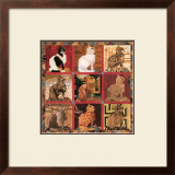 Buy Nine Lives at AllPosters.com