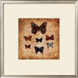 Buy Papillons II at AllPosters.com