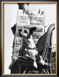 Buy Boulevard Poissonie`re, c.1957 at AllPosters.com