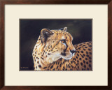 Buy Cheetah at AllPosters.com