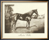 Buy Master Willie at AllPosters.com
