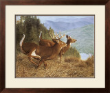 Buy Running Deer at AllPosters.com