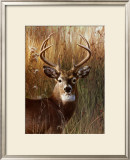 Buy Power and Grace at AllPosters.com