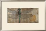Dragonfly on Silver