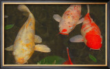 Buy Green Rock Japanese Koi I at AllPosters.com