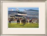 York Races
