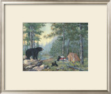 Bears' Campsite