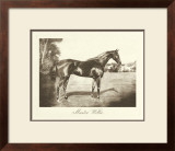 Buy Master Willie at AllPosters.com