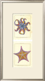 Buy Sea Jewels at AllPosters.com