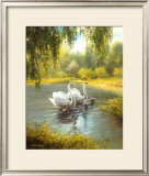 Buy Schwane at AllPosters.com