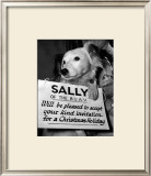Sally Looks For a Home