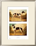 Buy Two Greyhounds at AllPosters.com