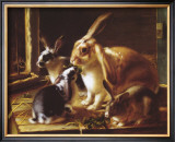 Buy Curious Spectator at AllPosters.com