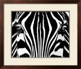 Black & White I (Zebra)