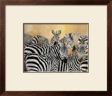 Buy Punda Milia at AllPosters.com