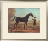 Racehorse Othello