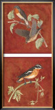 Flights of Fancy