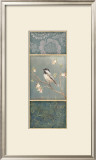 Black Capped Chickadee