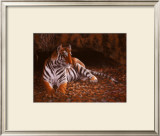 The Tiger's Lair