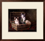 Buy The Pick of the Basket at AllPosters.com