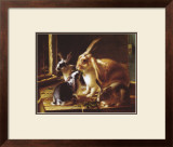 Buy Curious Spectator at AllPosters.com
