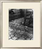Buy Dans la Cours, 255 Avenue Alesia, c.1947 at AllPosters.com