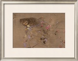 Buy A Trout Rising at AllPosters.com