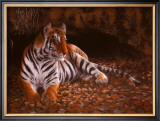 The Tiger's Lair