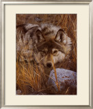 Buy One to One at AllPosters.com